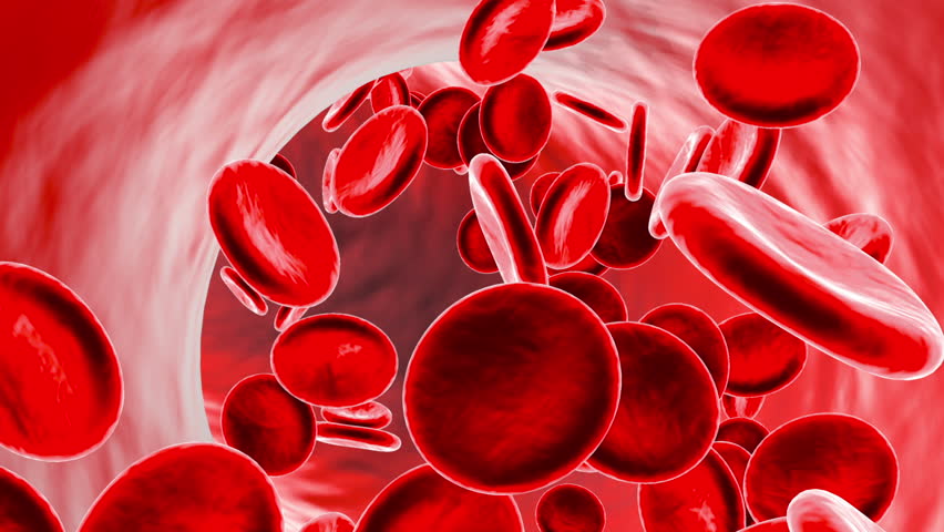 Blood Cells - 4k Animation Of Some Red Blood Cells. For Backgrounds