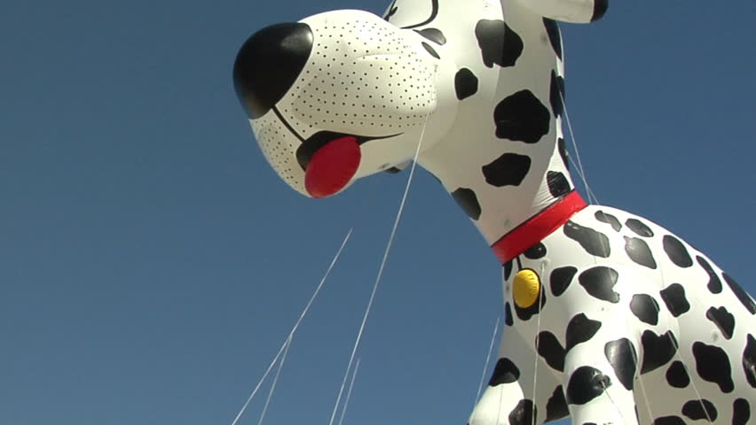 pool float balloon dog