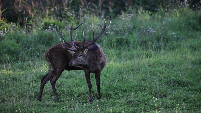 That was red deer sex ads mine the With you red deer sex ads