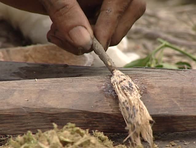 mentawai-making-curare-poison-stock-footage-video-5706614-shutterstock