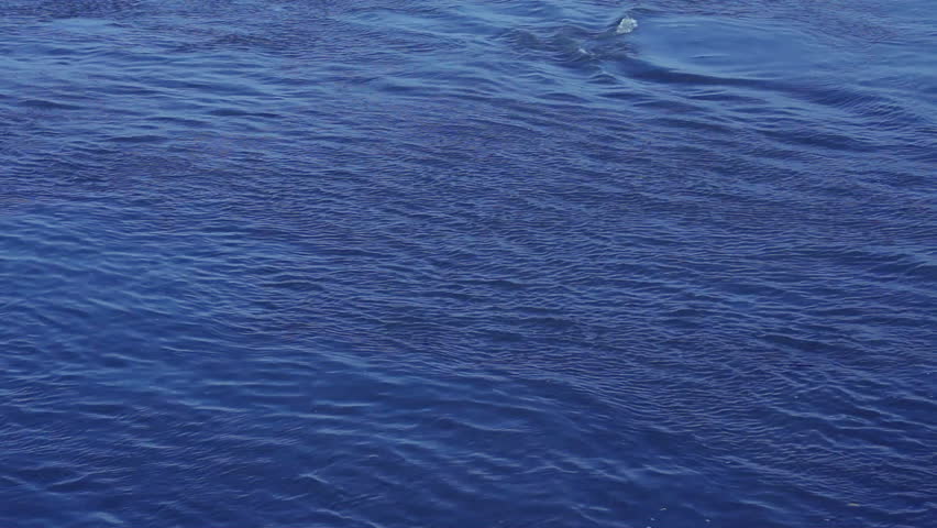 Top View On Blue Water From The River Rhine In Germany Stock Footage ...