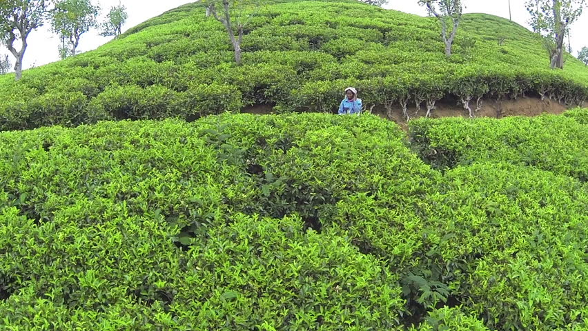 Attentively sri lanka beauty s3x clip hd are You will sri lanka beauty s3x clip hd