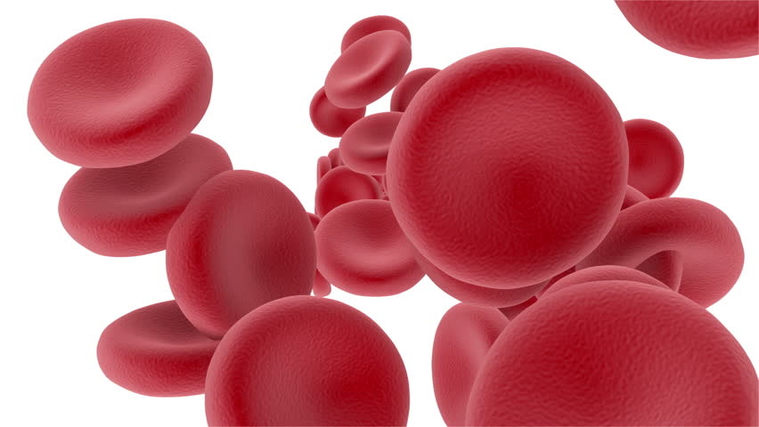 Blood Cells - 4k Animation Of Some Red Blood Cells. For Backgrounds