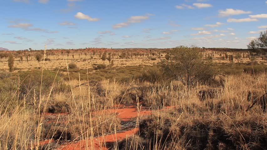 Outback Australia Landscape Red Desert Sand And Dry Arid Grasslands