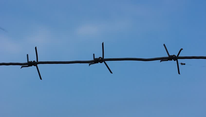 Barbed Wire Fence Prison Barbed Wire Fence Prison