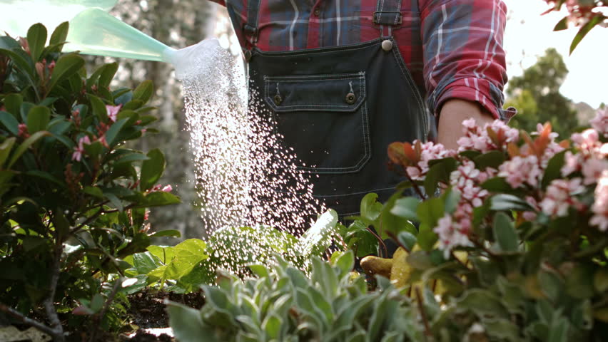 Header of gardener