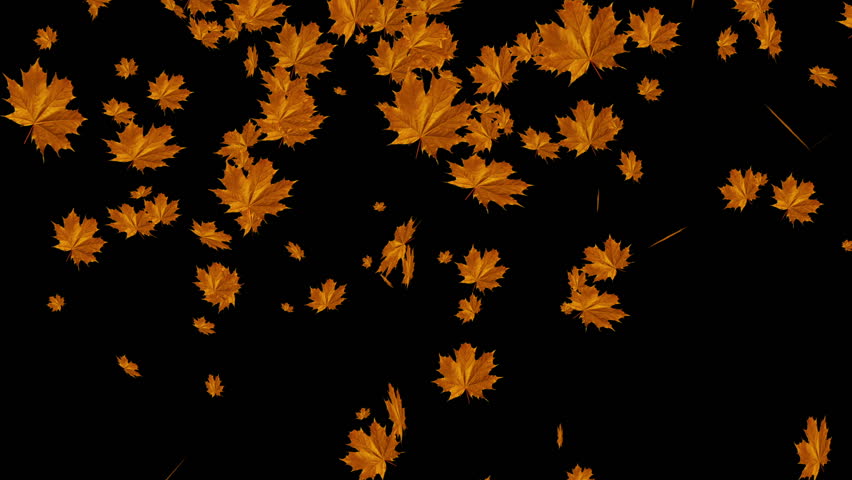 autumn leaves animated clipart - photo #31