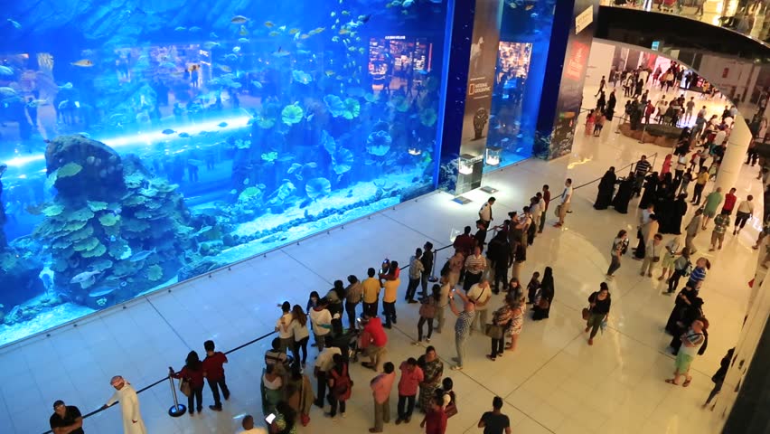 DUBAI - DEC 29 2014 Crowd Watching Dubai Mall Aquarium At United Arab ...