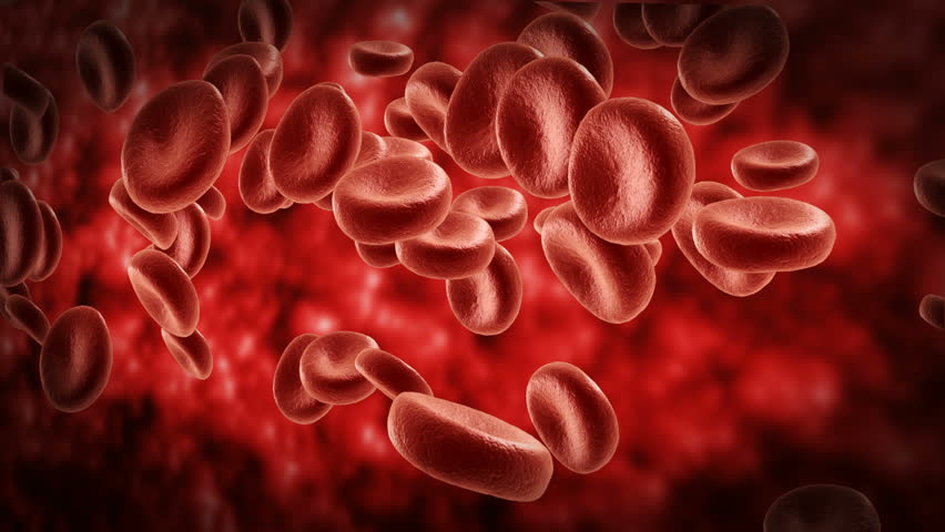 Red Blood Cell Background. An Animated Looping Background Of Rotating ...