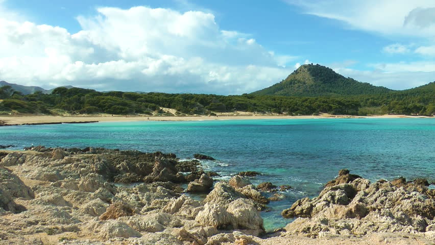 Header of Agulla (Californoraphidia)