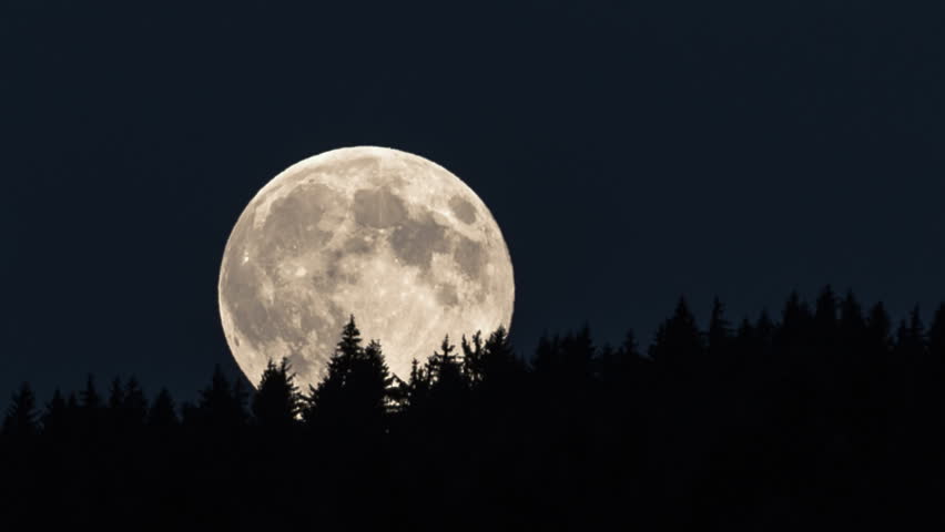 Nature Full Moon Night Landscape With Forest Lake. Stock Footage Video ...