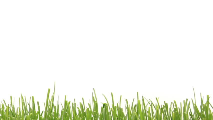 Animated Grass Stock Footage Video 40085 - Shutterstock