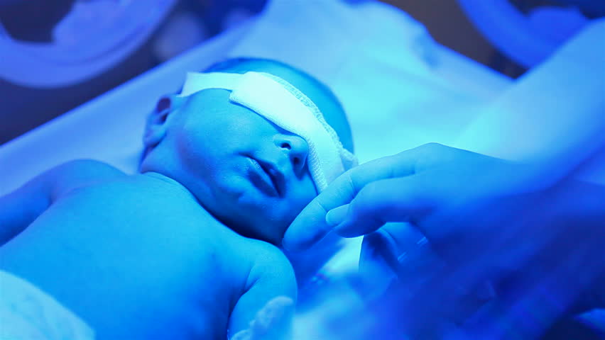 Nicu Stock Footage Video - Shutterstock