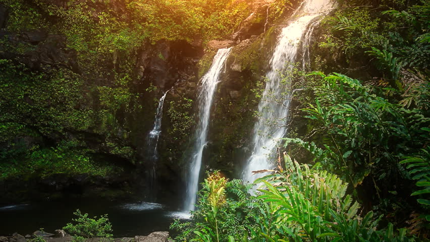 Waterfall In Tropical Paradise Stock Footage Video 1750232 - Shutterstock