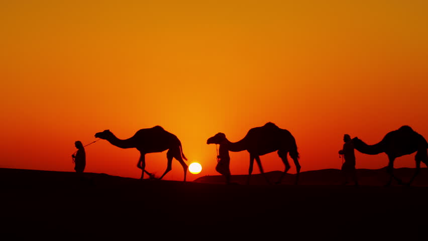 Cameleers Leading Caravan Of Camels In Desert - Silhouette Against ...