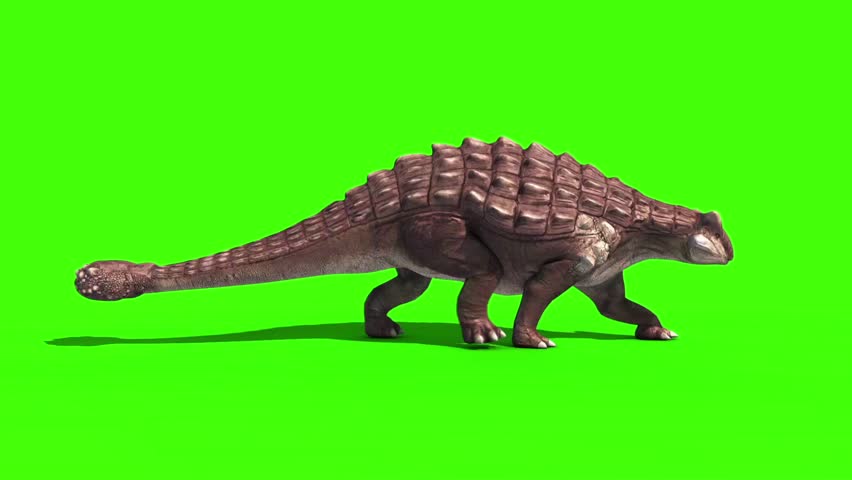 How did the ankylosaurus become extinct?
