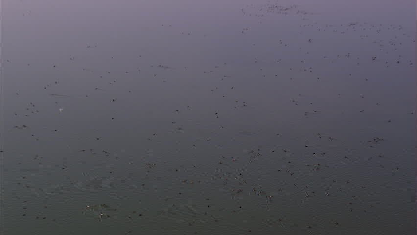 Header of Allen