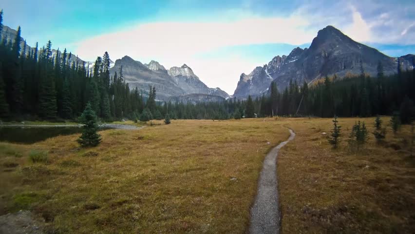 Header of trailside