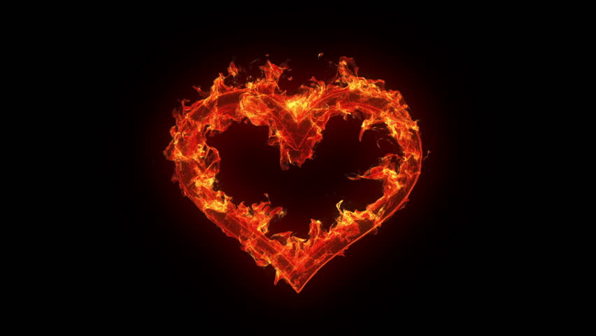 Burning Love TV series - Wikipedia
