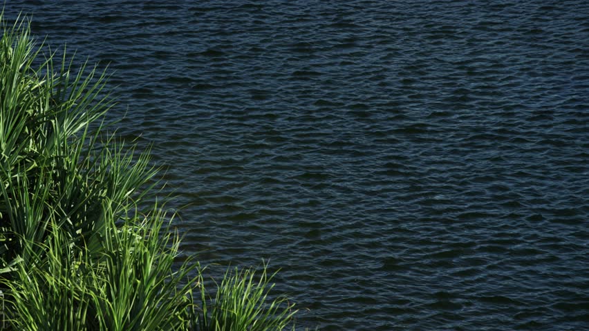 Header of alongside