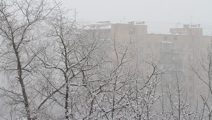 Bad Snow Storm Bad Snow Storm