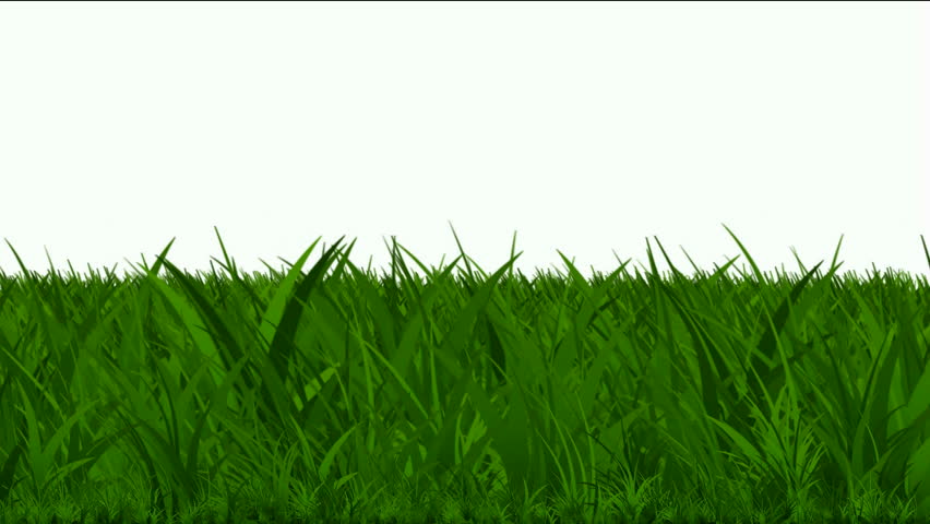 Animated Grass Stock Footage Video 40085 - Shutterstock