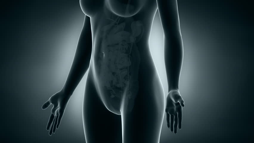 Images Of Girls Sexy Organs images of girls sexy organs