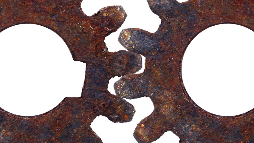 What is the scientific name for rust?