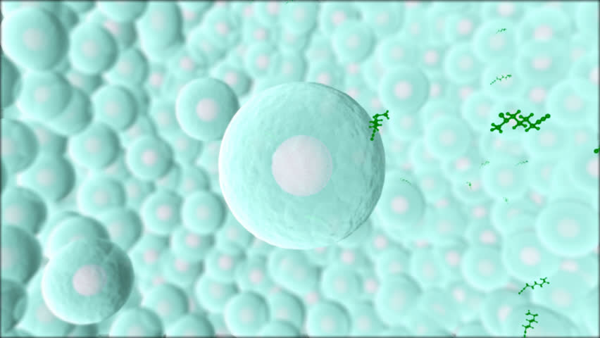 Header of defence mechanism