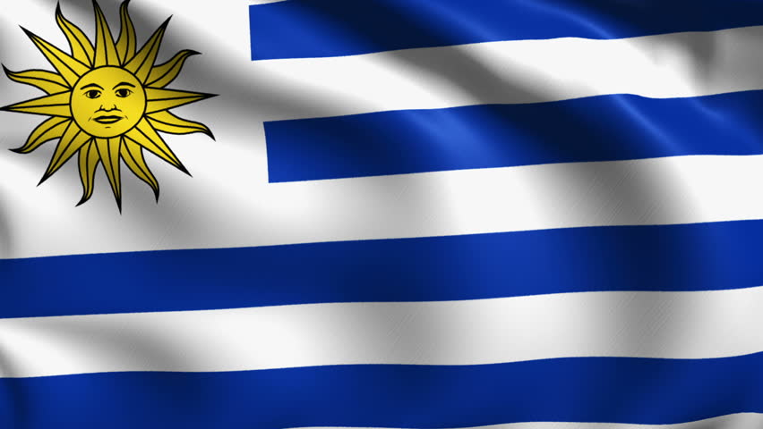 Flag Of Uruguay Background Seamless Loop Animation Stock Footage Video ...