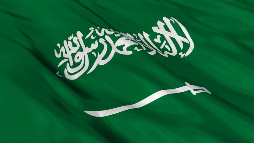 Resultado de imagem para saudi arabia flag 3D