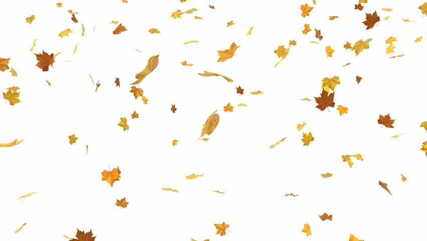 Falling Autumn Leaves Backgrounds - Isolated And Loopable With Alpha ...