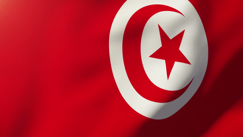 Tunisian Flag Waving In The Wind. Part Of A Series. Stock Footage Video ...