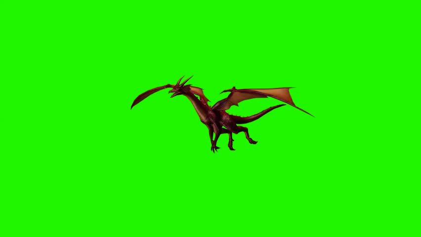 Dragon Attacking - Green Screen Stock Footage Video 5939207 - Shutterstock